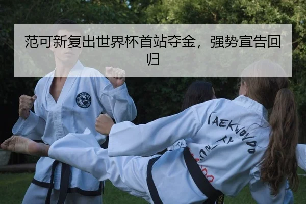 fan-ke-xin-fu-chu-shi-jie-bei-shou-zhan-duo-jin-qiang-shi-xuan-gao-hui-gui-2-168.jpg